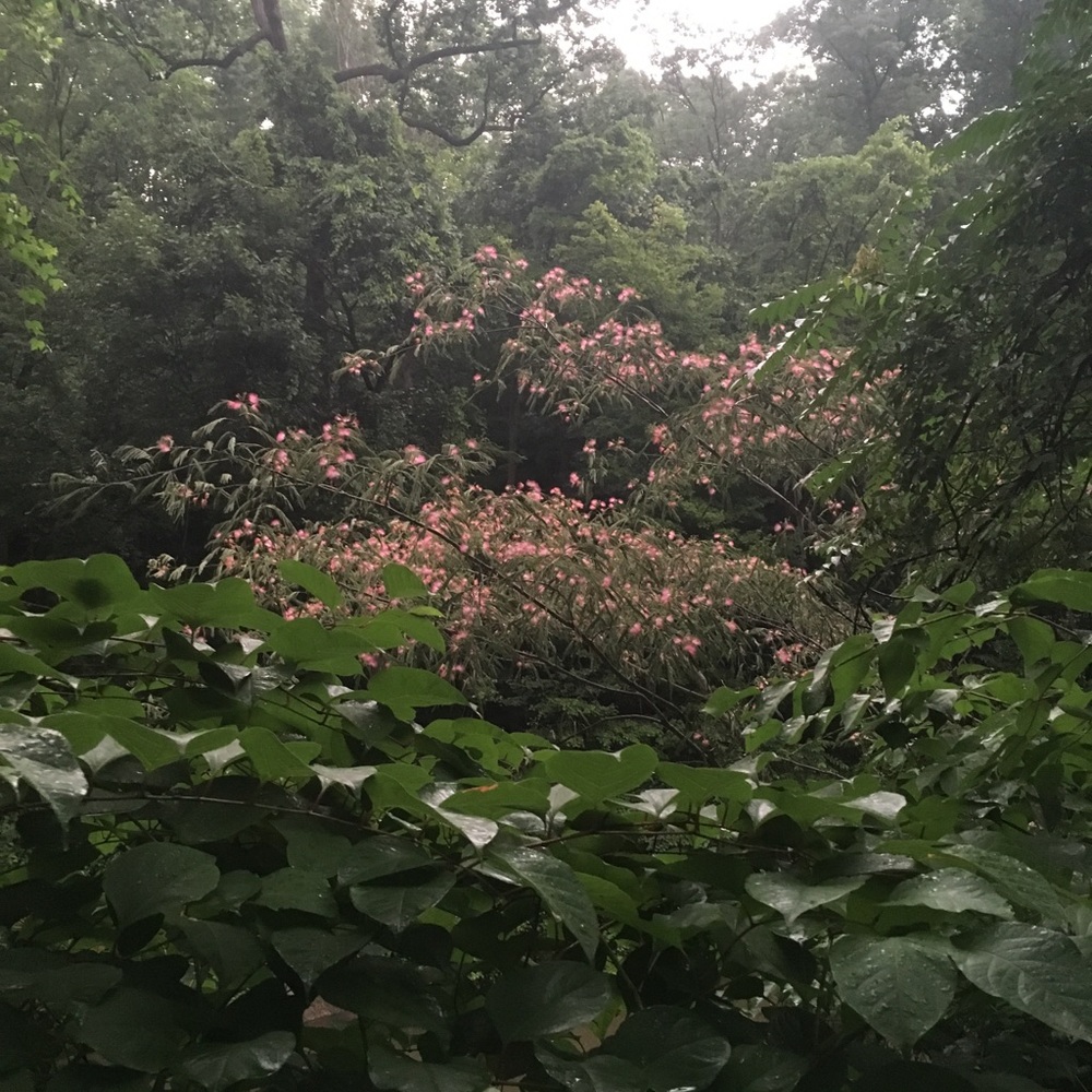 Meet your Posher, Kaitlyn